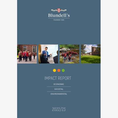 Impact report web